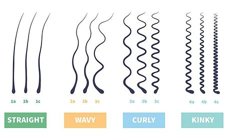 types of hair chart